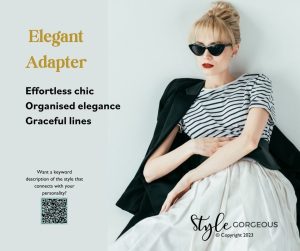 The Style Synergy Type 'Elegant Adapter'