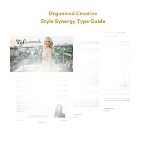 OC Style Synergy Type Guide Product image